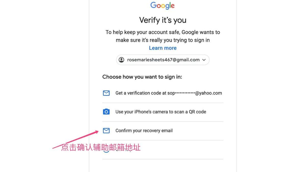 输入Google Voice账号辅助邮箱