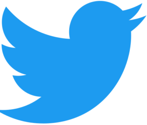 Logo_of_Twitter.svg